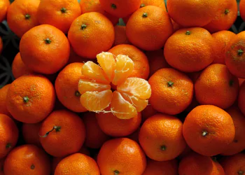 YSL Libre Notes: Mandarin Orange