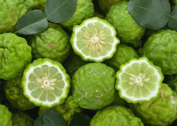 Bergamot